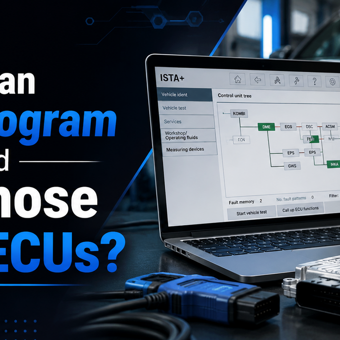 Can ISTA Program and Diagnose BMW ECUs?